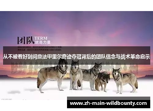 从不被看好到问鼎法甲里尔奇迹夺冠背后的团队信念与战术革命启示