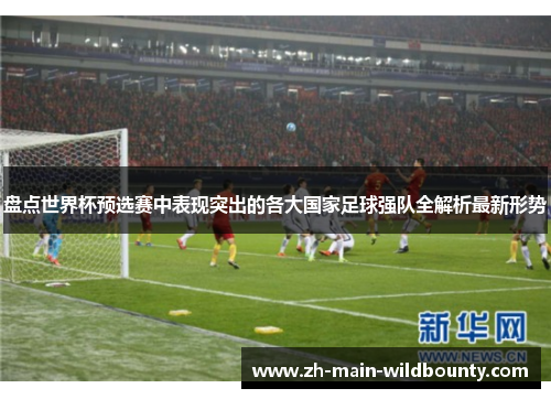 盘点世界杯预选赛中表现突出的各大国家足球强队全解析最新形势